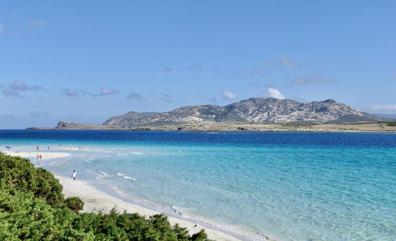 Resort Con Piscina A Soli 250 Mt Dalla Spiaggia La Pelosa Stintino Exterior foto